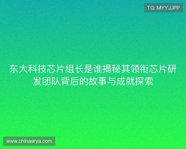 东大科技芯片组长是谁揭秘其领衔芯片研发团队背后的故事与成就探索